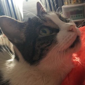 Meet your Posher, Lois